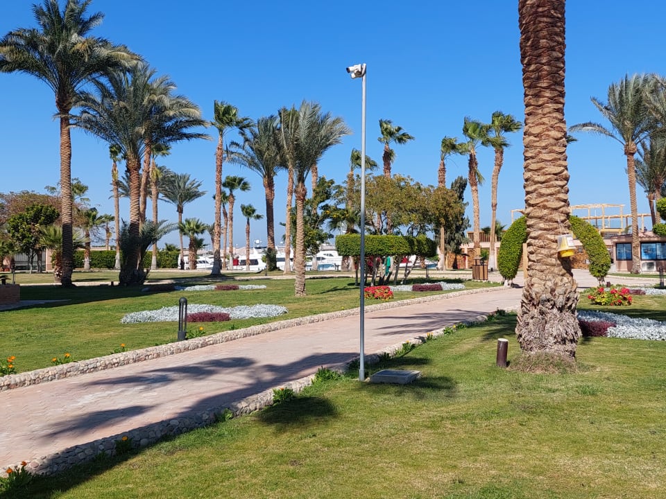 Gartenanlage Continental Hotel Hurghada