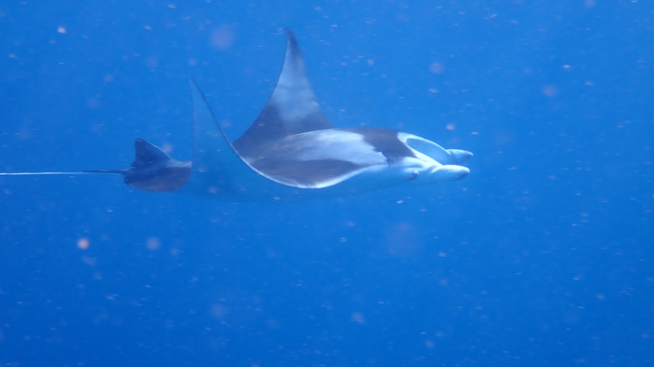 Strand Adaaran Select Meedhupparu Island Resort - Premium All Inclusive