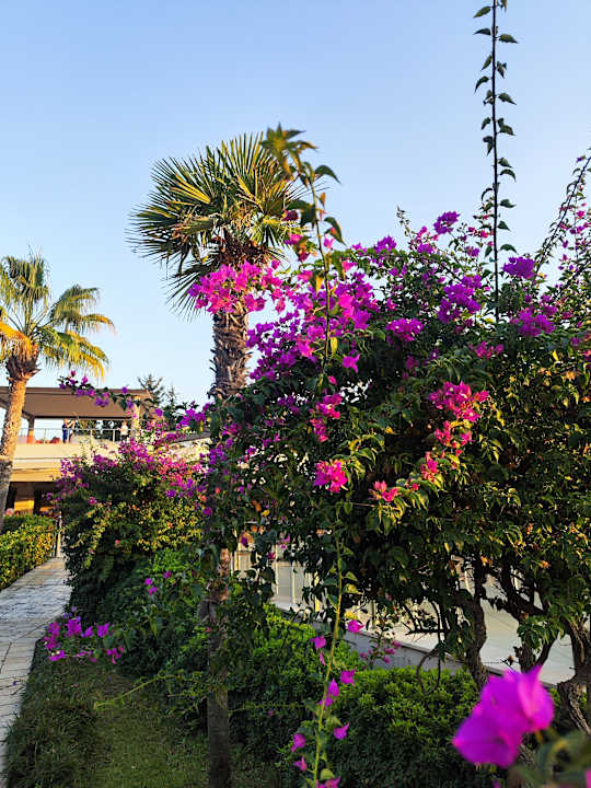 Gartenanlage Calimera Serra Palace