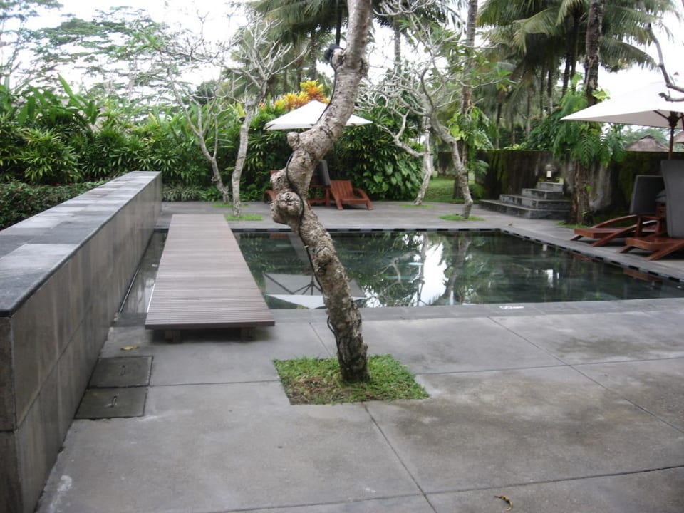 Kinderpool Maya Ubud Resort & Spa Bali