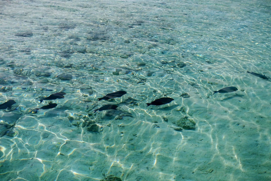 Glasklares Wasser am Nordstrand Summer Island Maldives