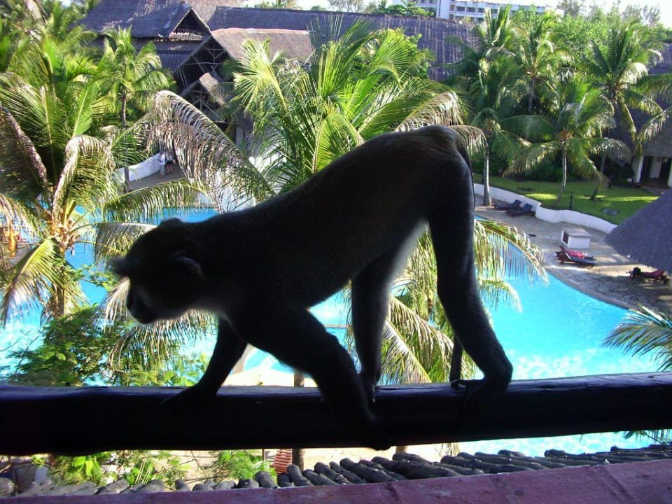 Mein Hausfreund Hotel Southern Palms Beach Resort