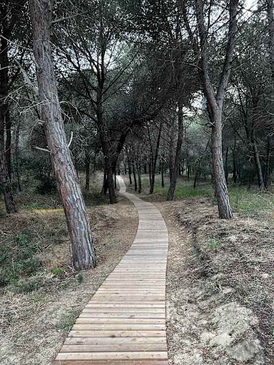 Gartenanlage Luna Minoica Suites and Apartments