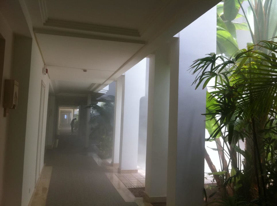 Gang zu Zimmern Radisson Blu Palace Resort & Thalasso Djerba