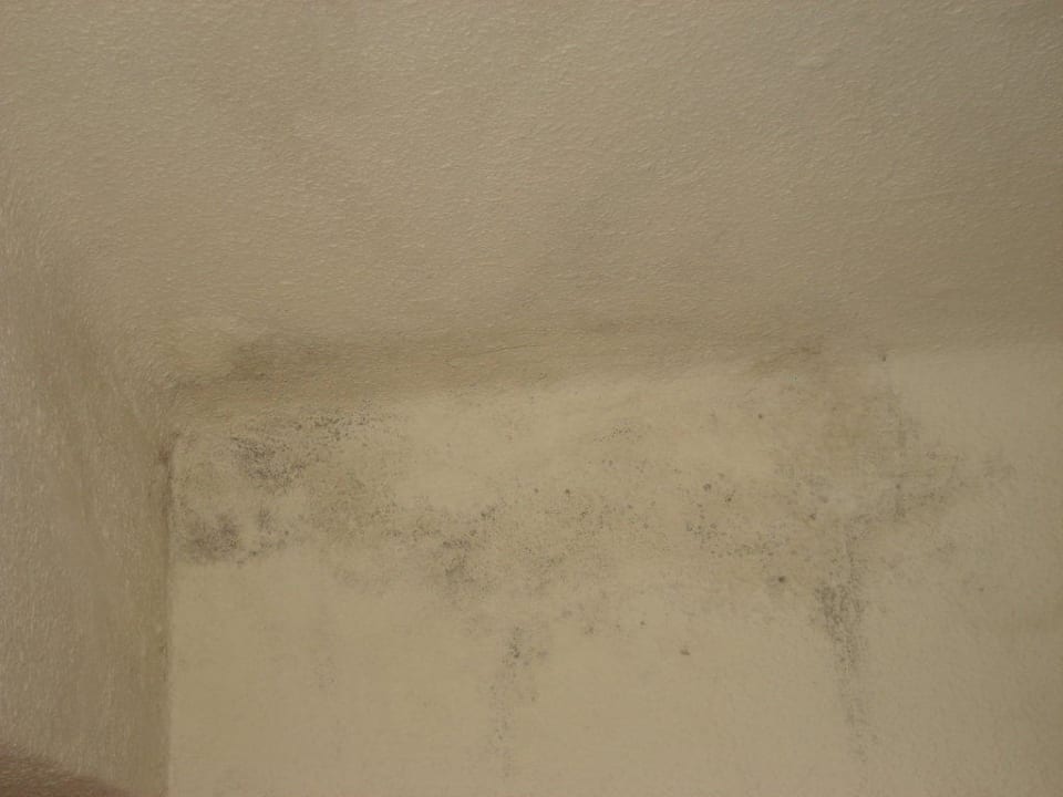 Schimmel Ahoi! Urban Beach Hotel