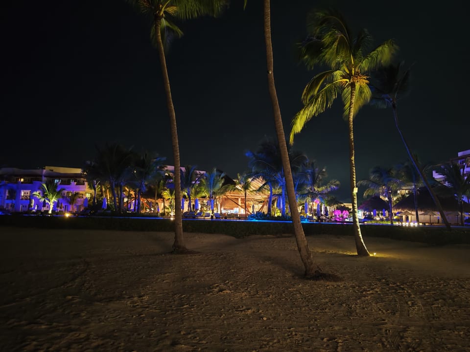 Gartenanlage Secrets Cap Cana Resort & Spa - Adults only
