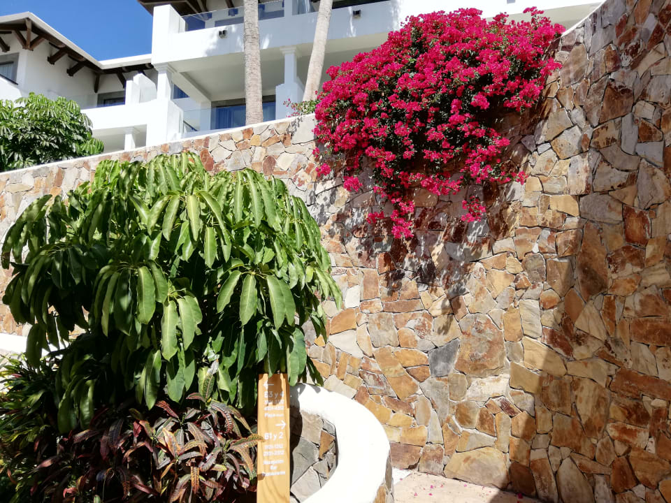 Gartenanlage Paradisus by Meliá Fuerteventura