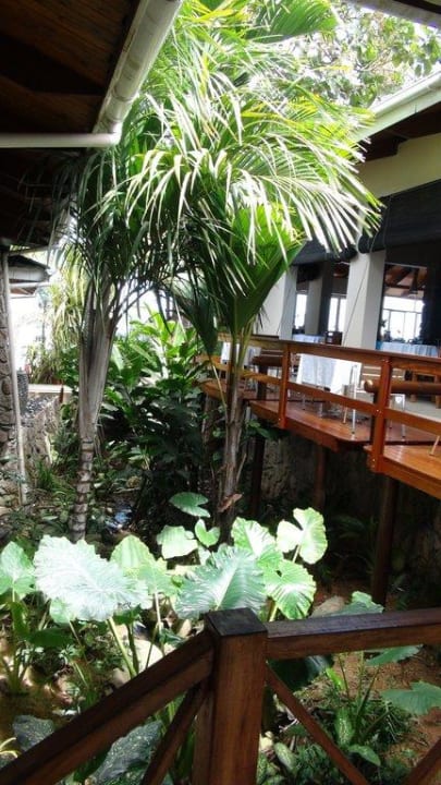 Kleiner Fluss in dem manchmal ein Aal ist The Coco de Mer Hotel & Black Parrot Suites