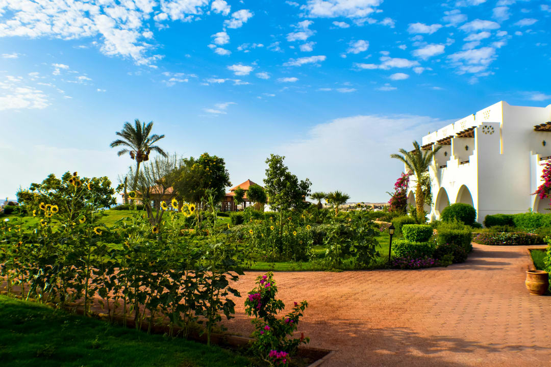 Gartenanlage Three Corners Equinox Beach Resort