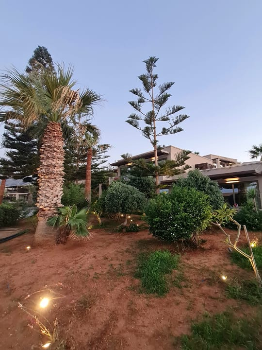 Gartenanlage Nana Golden Beach