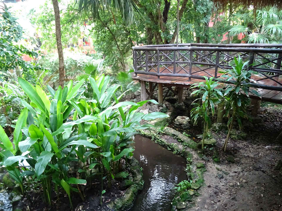 Gartenanlage Iberostar Waves Tucan