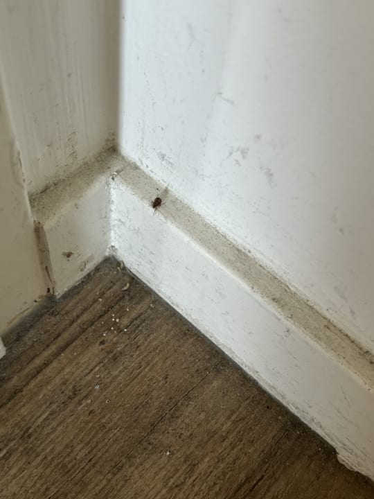 Sonstiges Beach Villa's Hoek van Holland