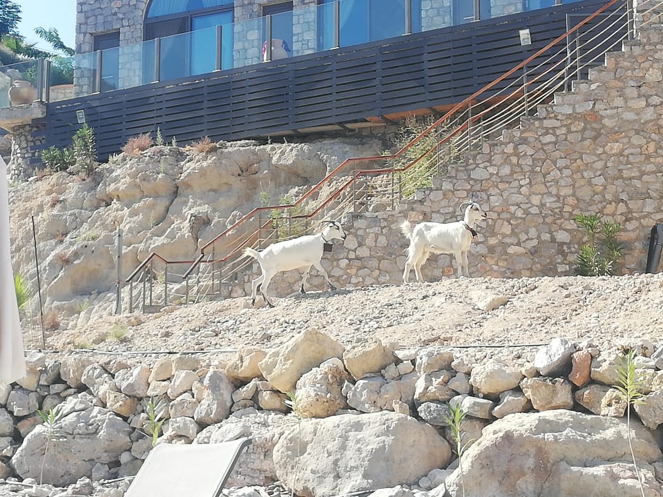 Sonstiges Stone Luxury Suites - Adults Only