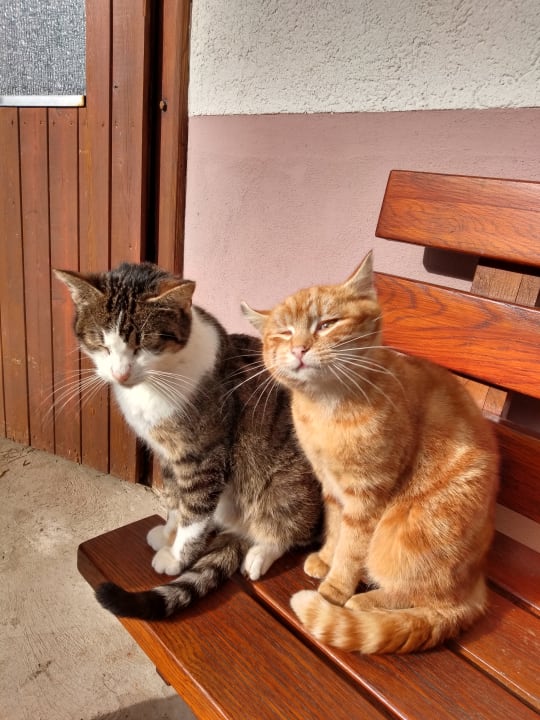 Sonstiges Bauernhof Bernhardenhof