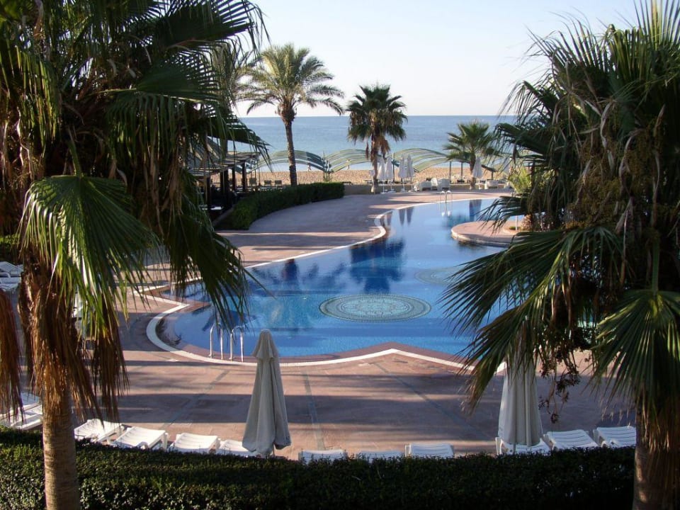 Pool am frühen Morgen Papillon Belvil