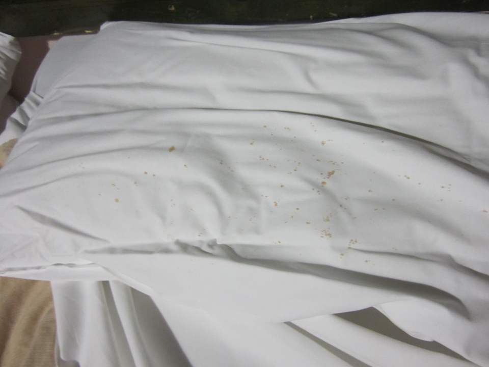 Flecken auf der Bettwäsche Villa Las Brujas