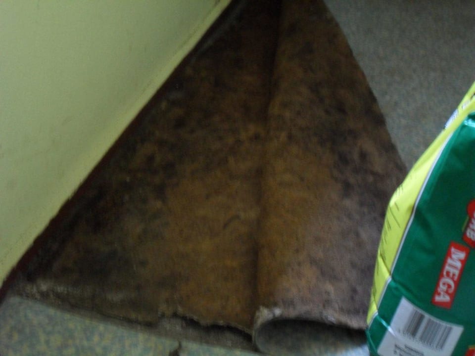 Schimmel im Schlafraum Bungalowanlage Ückeritz
