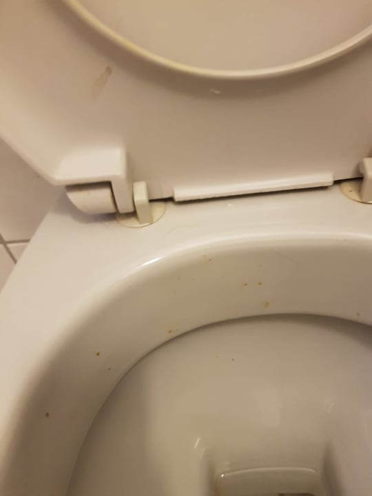 Zimmer Hotel Seeblick