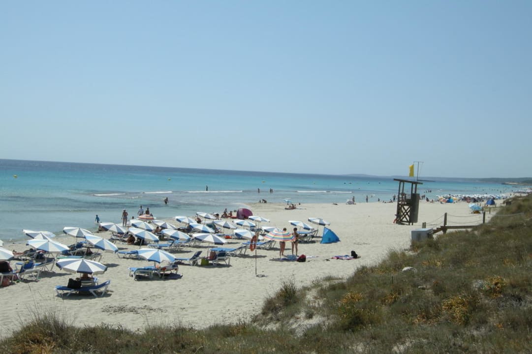 Strand von Son Bou Royal Son Bou Family Club