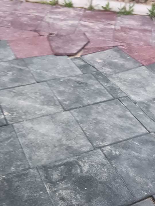 Gartenanlage Dream Fun World