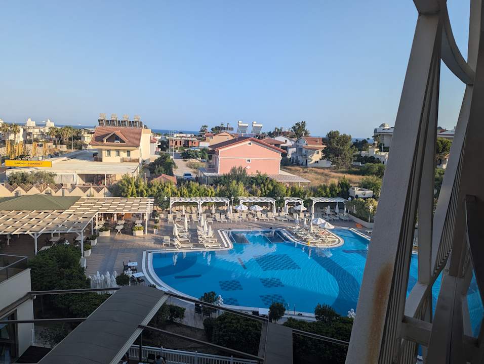 Gastro Seashell Vega