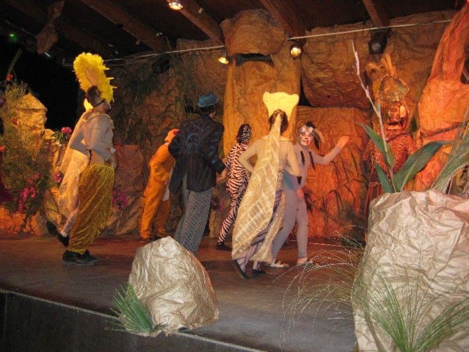 Abend Show Iberostar Waves Pinos Park