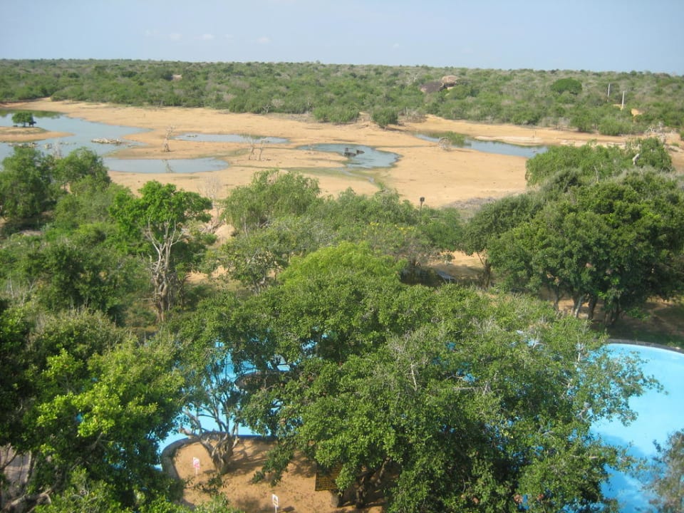 Ausblick von der Bar Hotel Chaaya Wild Yala