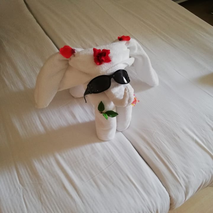 Zimmer Sunis Evren Beach Resort Hotel & Spa