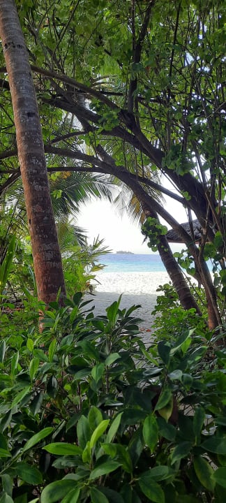 Gartenanlage NH Collection Maldives Reethi Resort