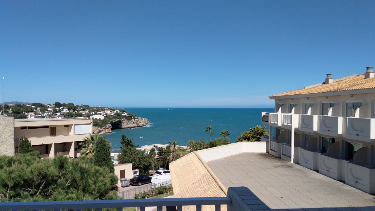 Zimmer blau punta reina