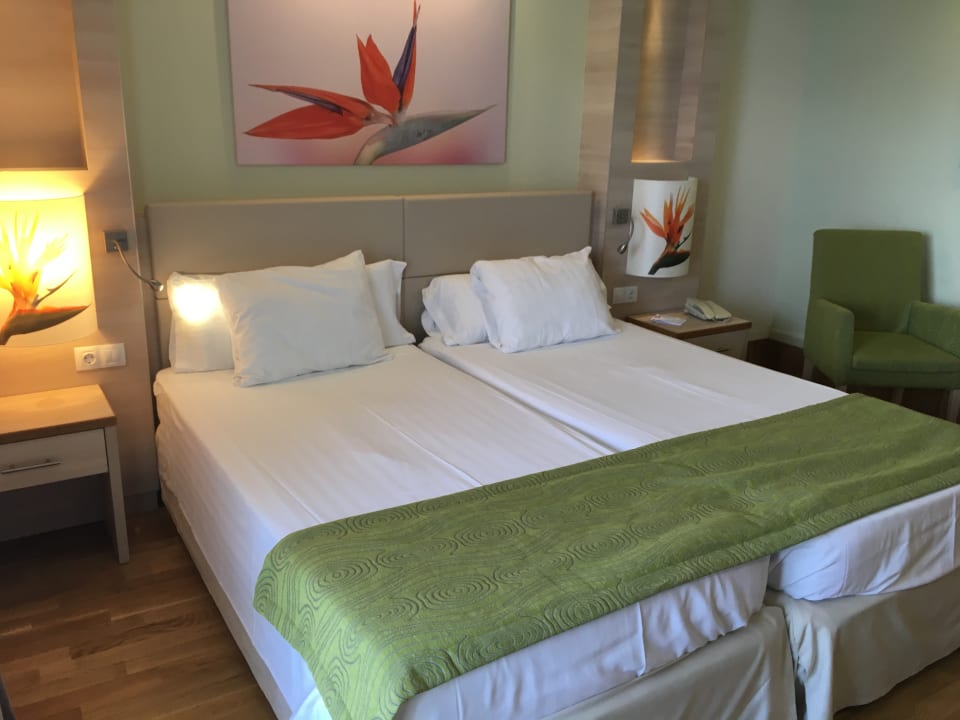 Zimmer Bull Costa Canaria & Spa - Adults only