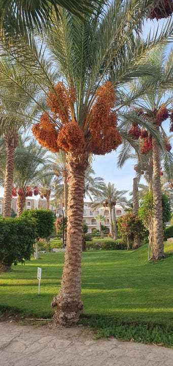 Gartenanlage Brayka Bay Resort