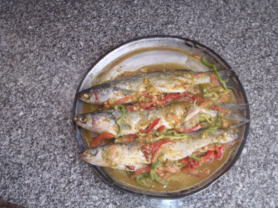 Lekkere visjes. Om je vingers bij op te eten Panorama Bungalows Resort El Gouna