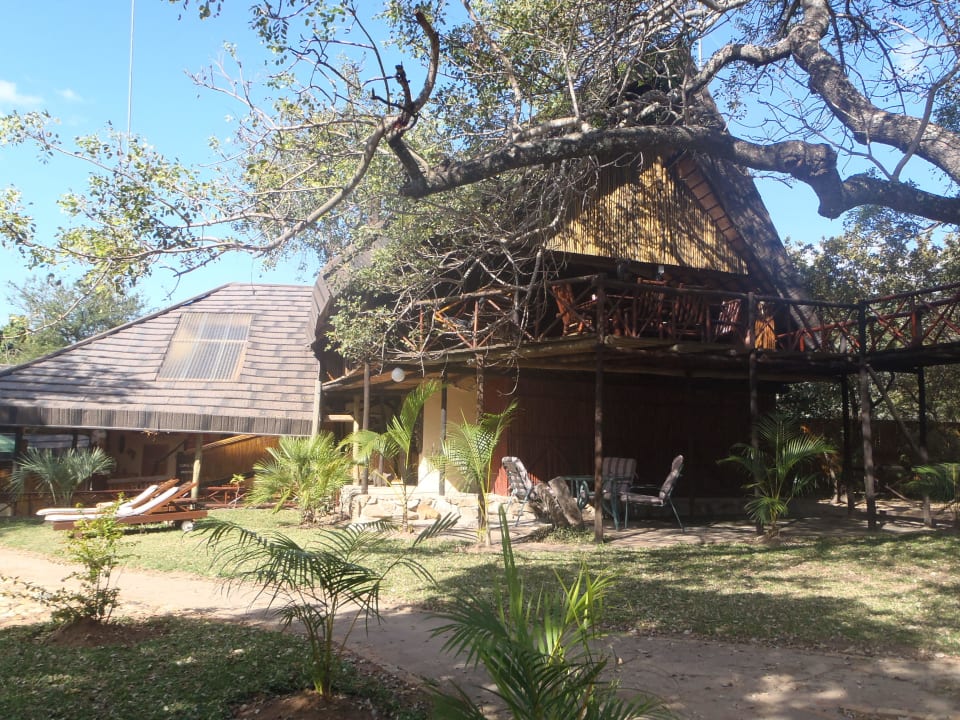 Rezeption und Frühstücks"raum" Pezulu Tree House Lodge