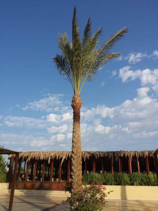 Poolbar JAZ Aquamarine Resort