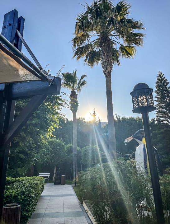 Gartenanlage Adalya Resort & Spa - Adults Only