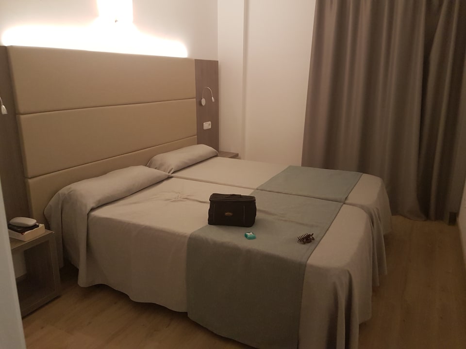 Zimmer Aparthotel Playa Dorada