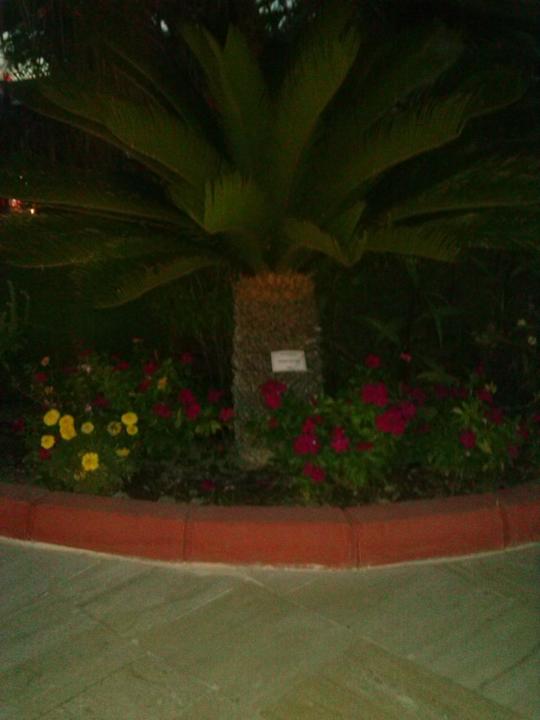 Super  Garten Saphir Resort & Spa