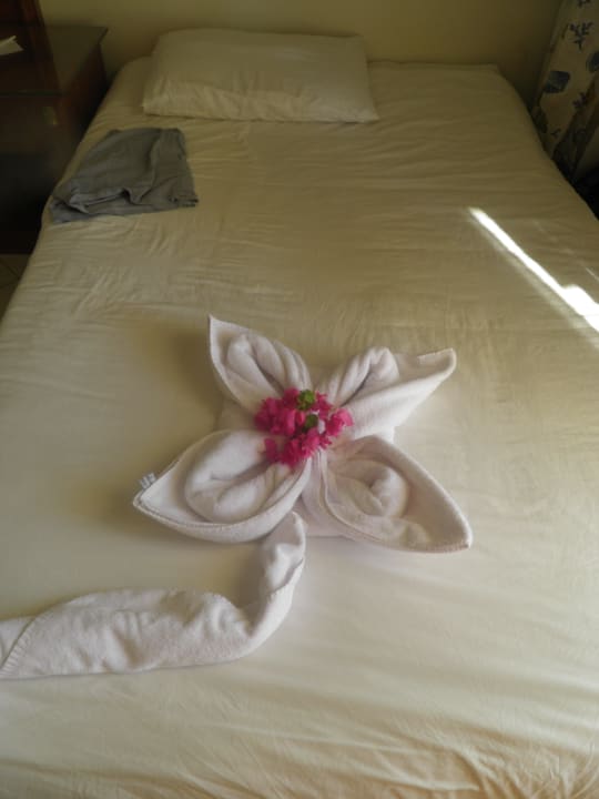 Kwiatuszek Hotel Noria Resort