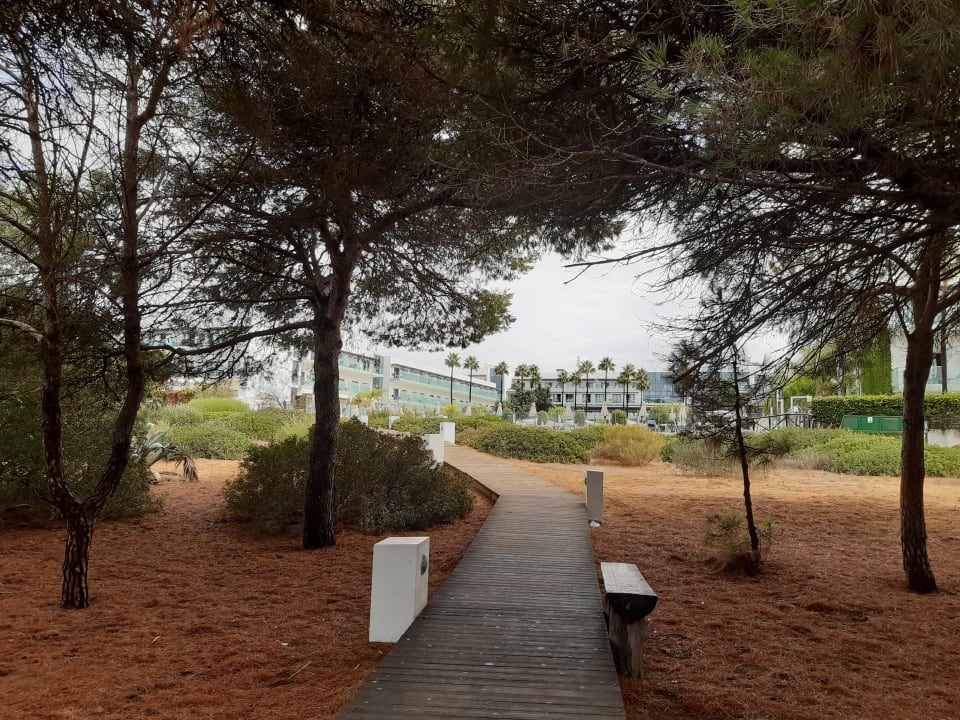 Außenansicht Hipotels Gran Conil Hotel