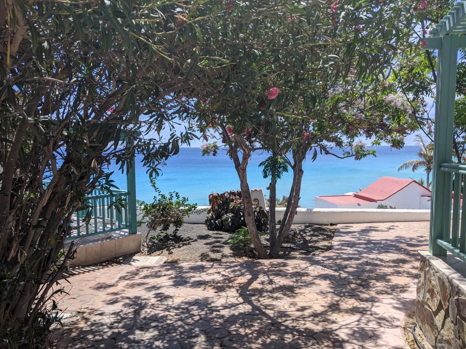 Gartenanlage Aldiana Club Fuerteventura