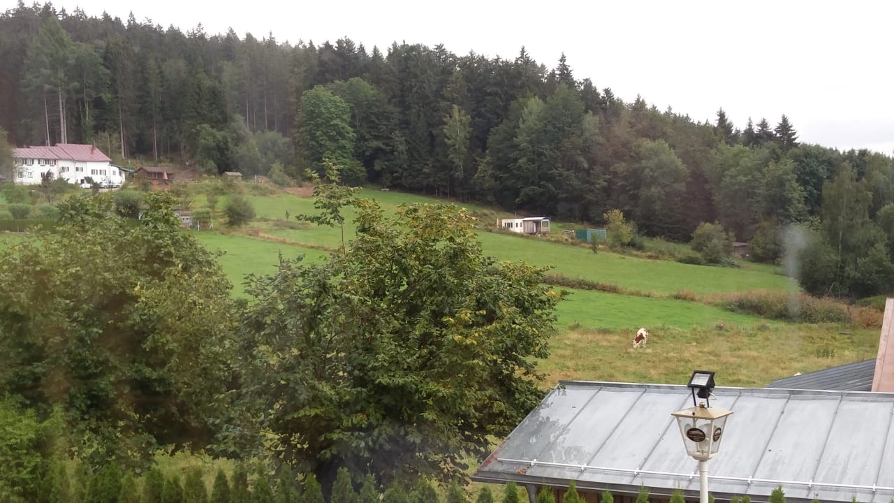 Ausblick Ferien-Hotel Riesberghof