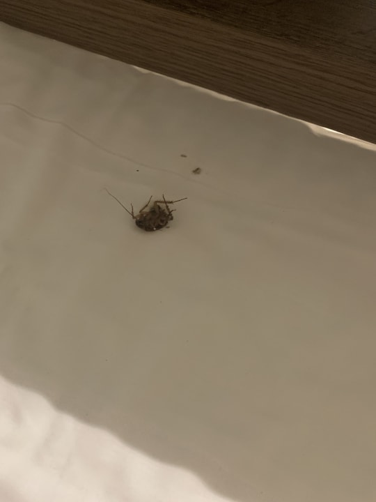 Zimmer TUI KIDS CLUB Alex Beach