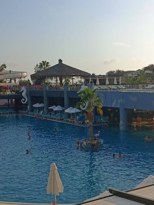 Pool Dream World Palace Hotel