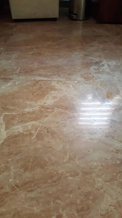 Ameisen im Zimmer Maya World Park Hotel