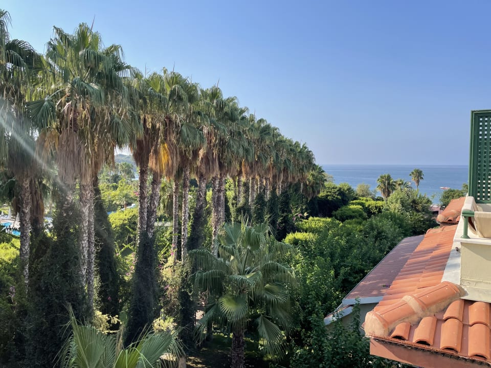 Ausblick Gardenia Hotel