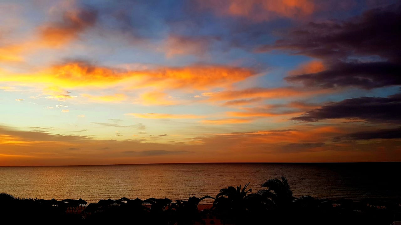Ausblick The Orangers Beach Resort and Bungalows