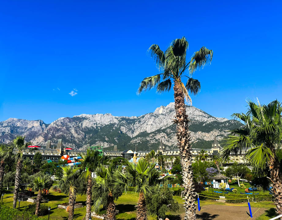 Ausblick Crystal Prestige Elite