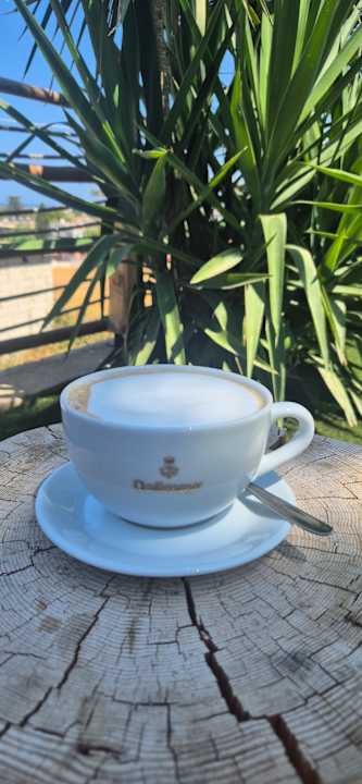 Gastro Sofia Resort Luxury Suites