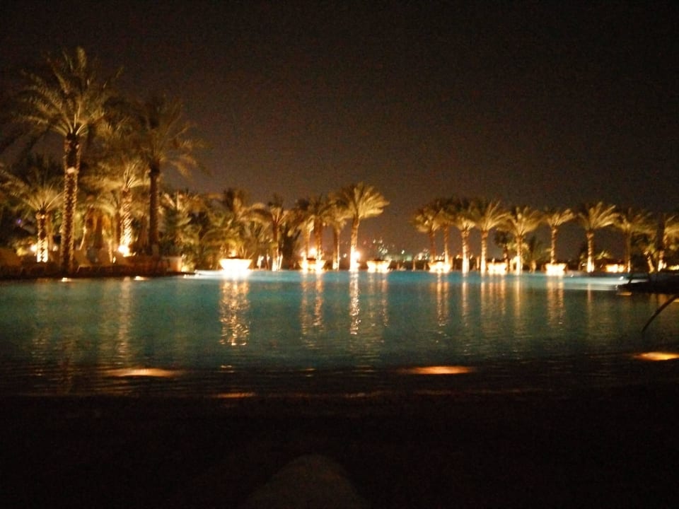 Abendstimmung Atlantis, The Palm